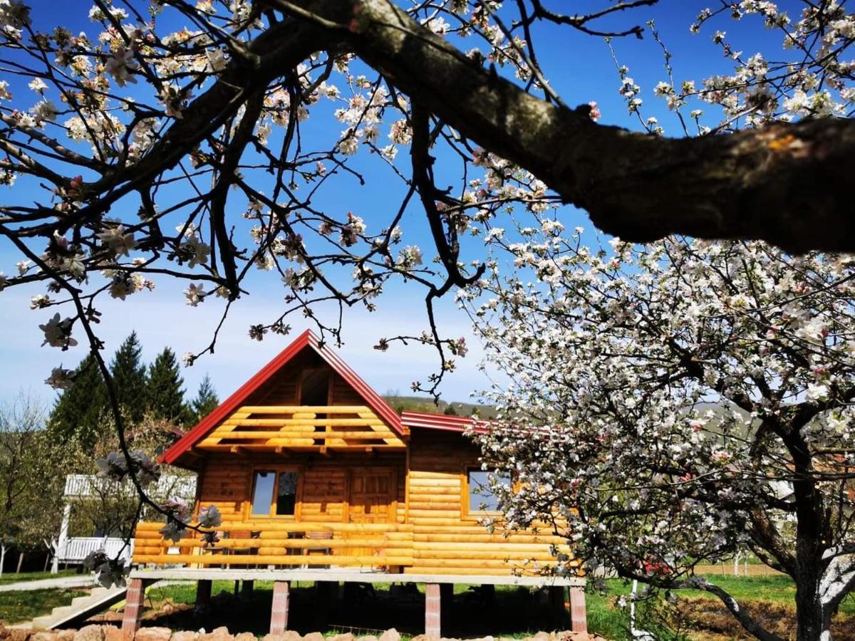 Wooden House "Una" 库伦瓦库夫 外观 照片